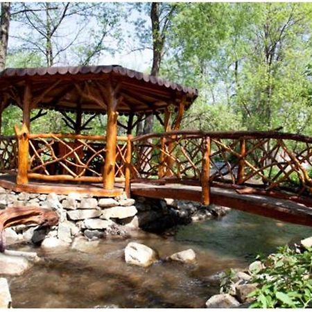 Pensiunea Pentru Tine Prietene Arcani Dış mekan fotoğraf