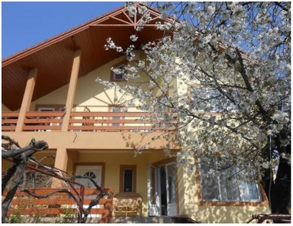 Pensiunea Pentru Tine Prietene Arcani Oda fotoğraf