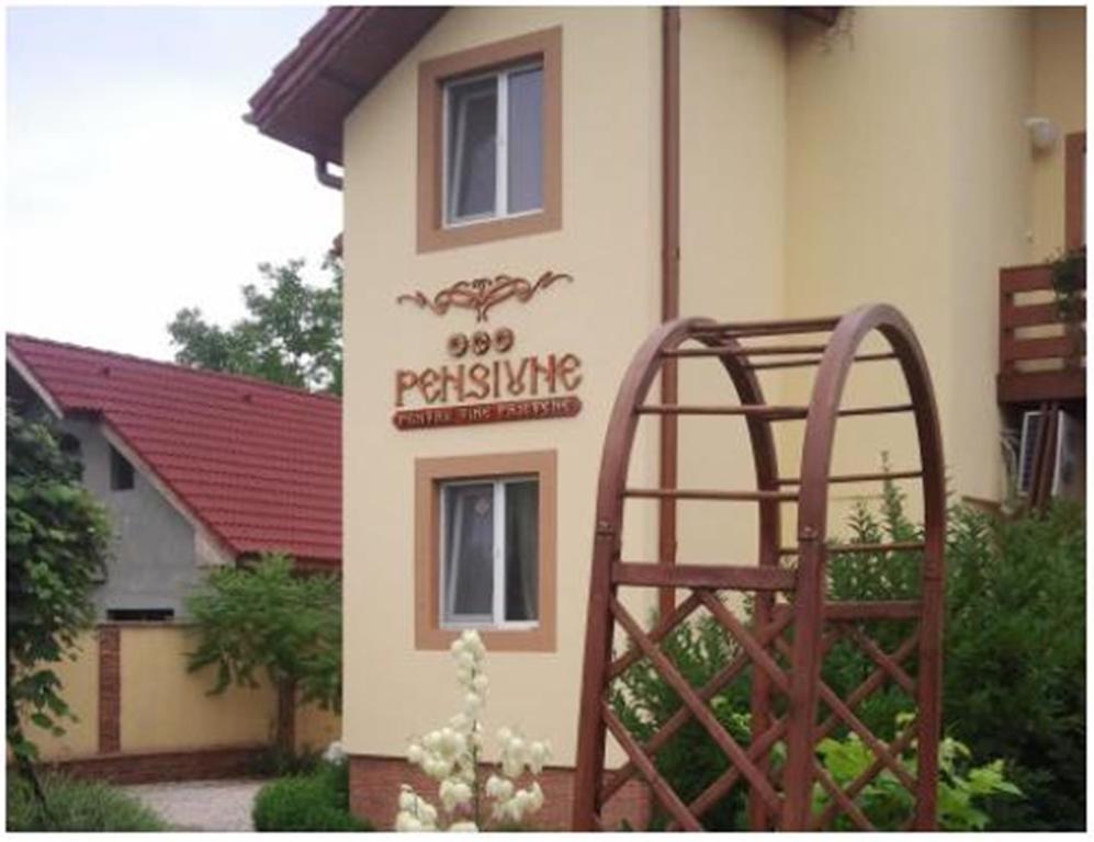 Pensiunea Pentru Tine Prietene Arcani Dış mekan fotoğraf