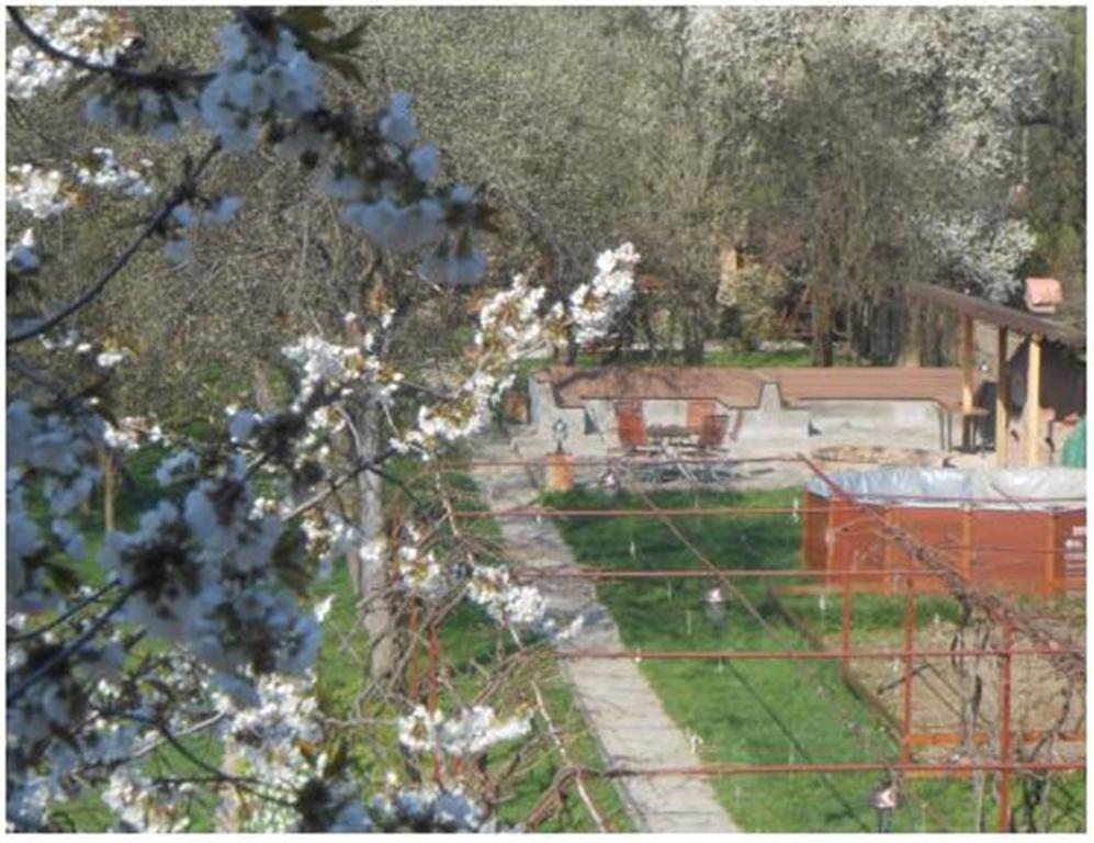 Pensiunea Pentru Tine Prietene Arcani Oda fotoğraf